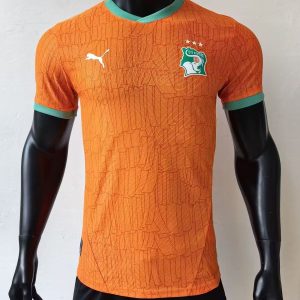 Player version 25/26 Ivory Coast Home Jersey