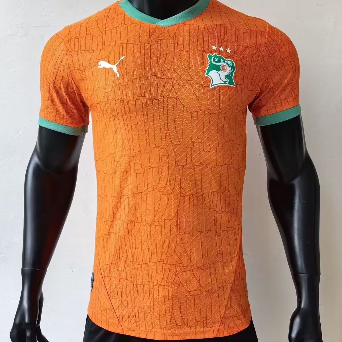 Player version 25/26 Ivory Coast Home Jersey